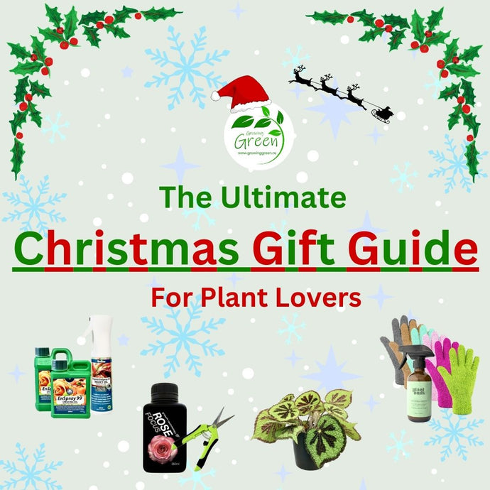 The Ultimate CHRISTMAS GIFT GUIDE for Plant Lovers