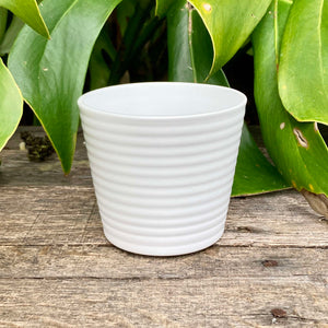 Ceramic Cover Pot - 9cm