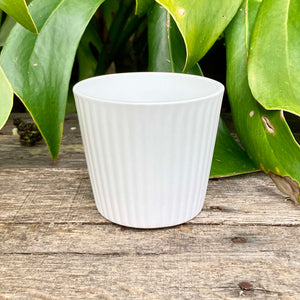 Ceramic Cover Pot - 9cm