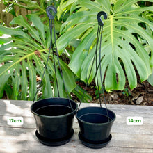 Load image into Gallery viewer, Hanging Pot Green/Black 17cm (1.5L)

