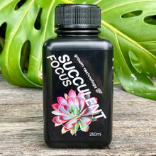 Load image into Gallery viewer, Growth Technology Succulent Focus 250ml
