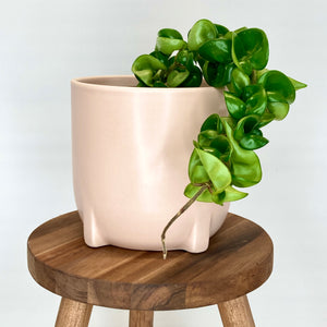 Amber Ceramic Cover Pot - 13cm