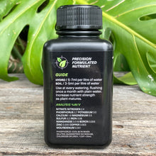 Load image into Gallery viewer, Growth Technology Succulent Focus 250ml
