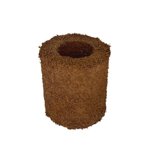 Tree Fern Fibre Pot 10cm