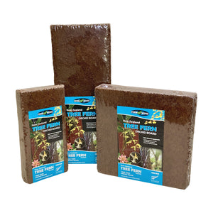 Tree Fern Fibre Orchid Board Twin pack