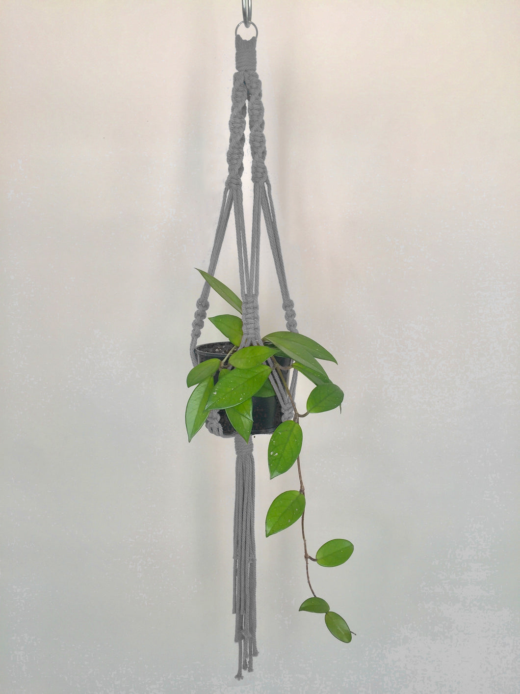 'Fully Twisted' Macrame Plant Hanger