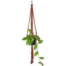 Load image into Gallery viewer, &#39;Half Straight&#39; Macrame Plant Hanger
