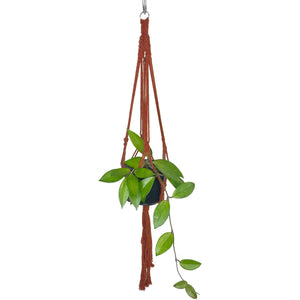 'Half Straight' Macrame Plant Hanger