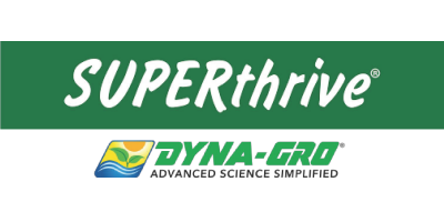 Superthrive