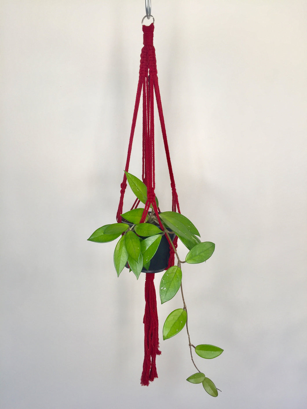 'Half Straight' Macrame Plant Hanger