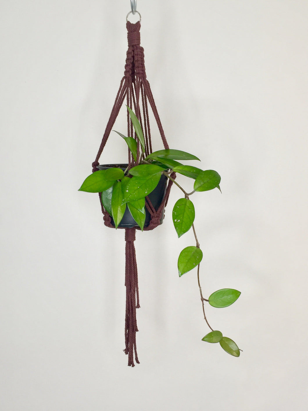 'Half Straight' Macrame Plant Hanger