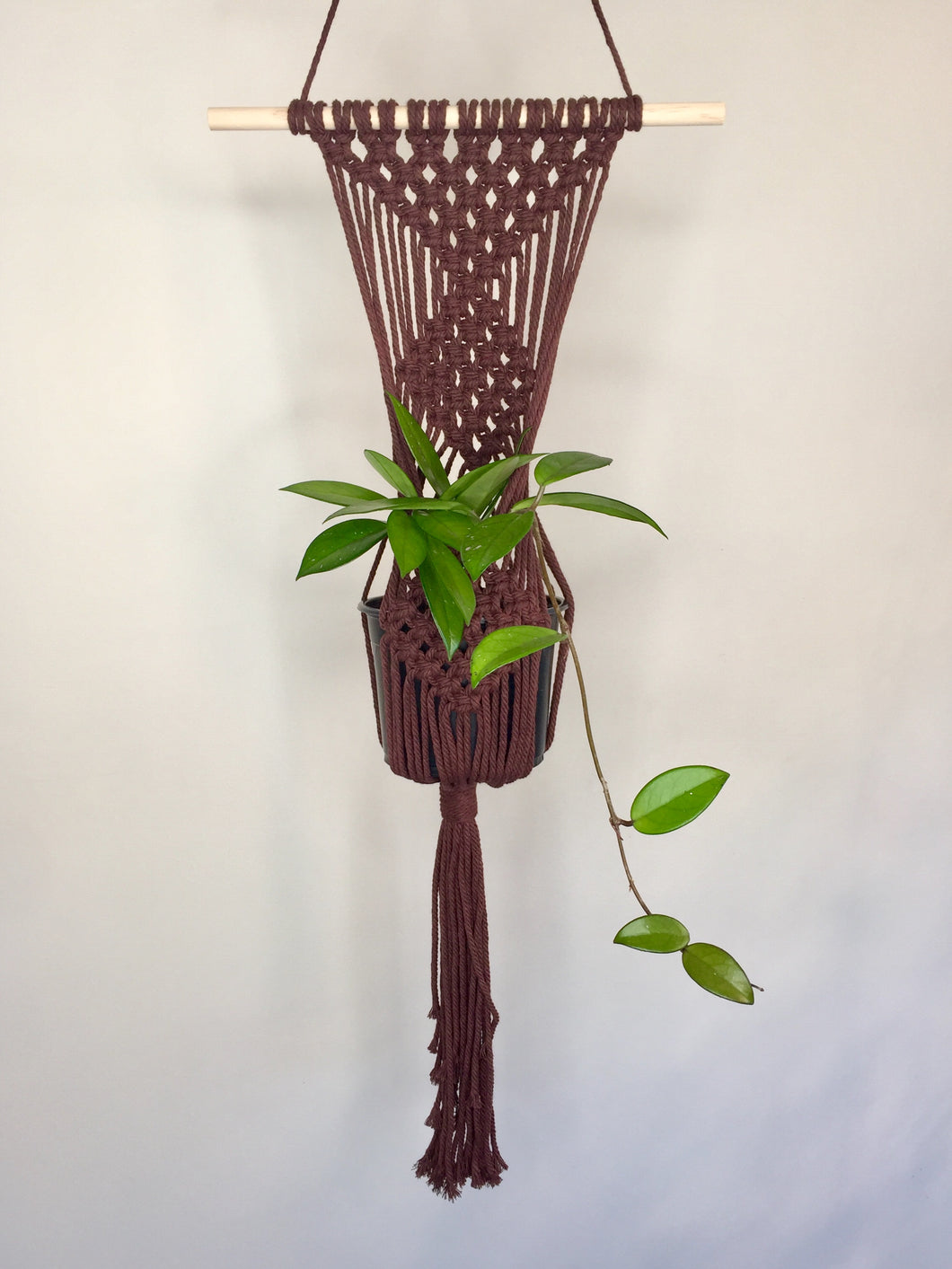 'Diamanté' Macrame Wall Plant Hanger