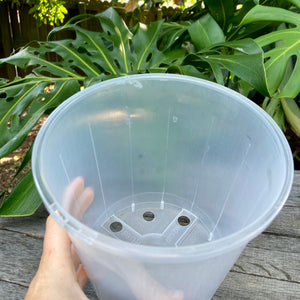 Clear Nursery Pot 15cm SECONDS