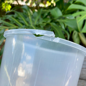 Clear Nursery Pot 15cm SECONDS