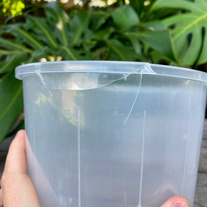 Clear Nursery Pot 15cm SECONDS