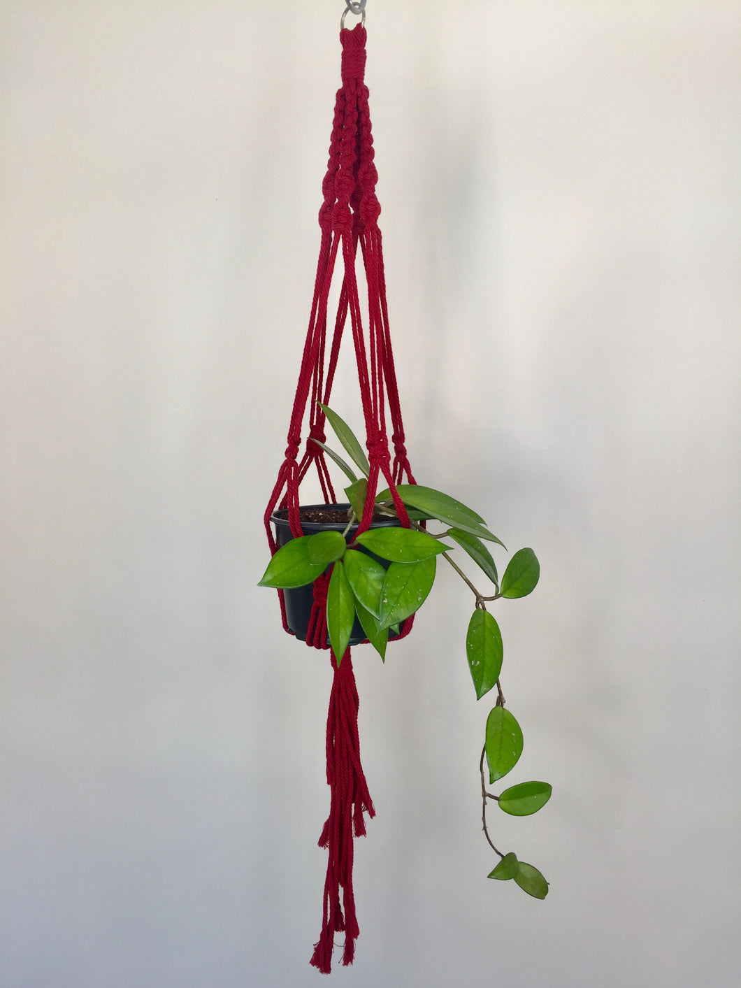 'Half n Half' Macrame Plant Hanger