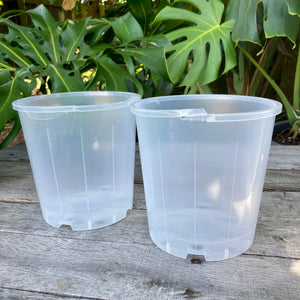 Clear Nursery Pot 15cm SECONDS